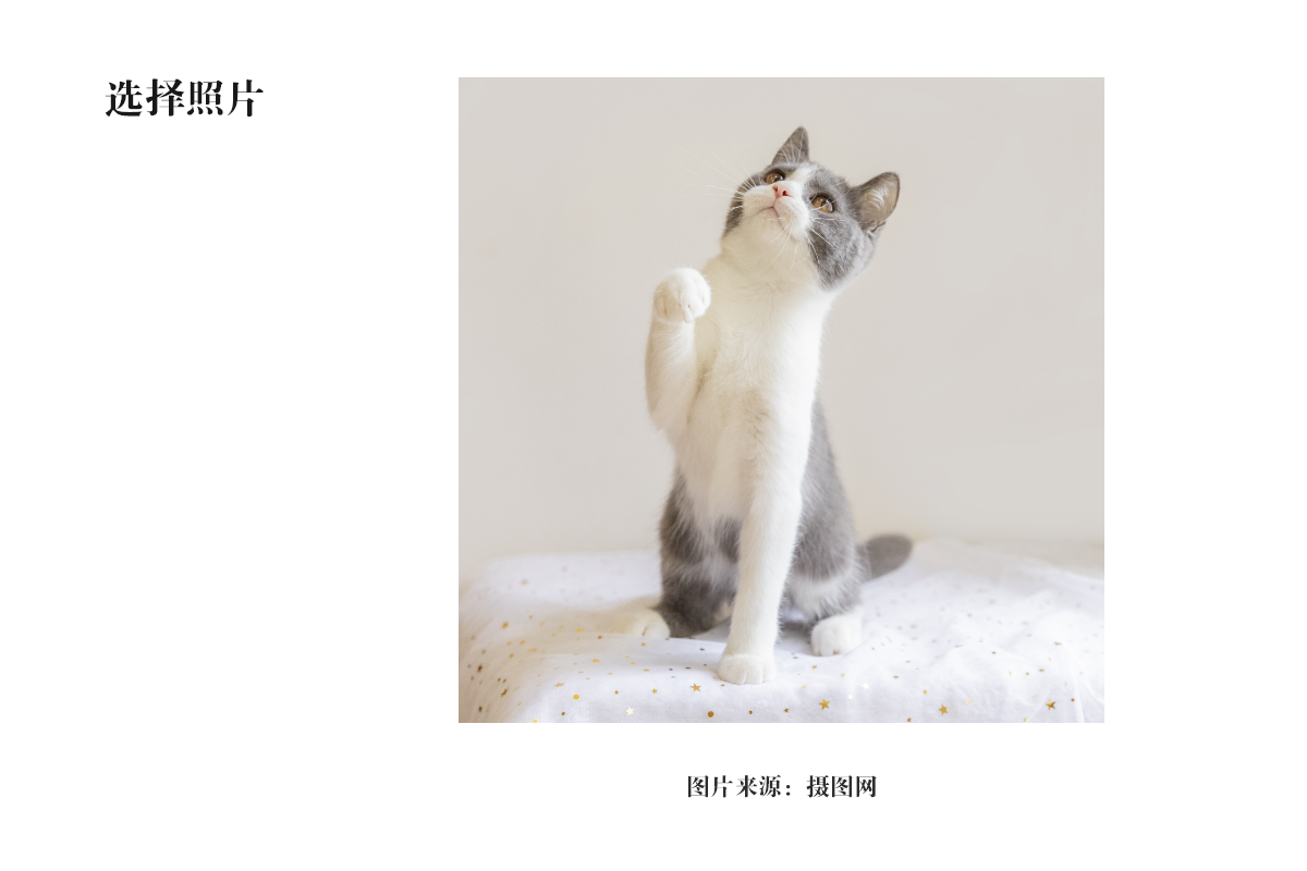 AI+PS画可爱的招财猫插画Banner